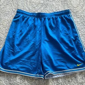 Nike Men's Blue Athletic Shorts